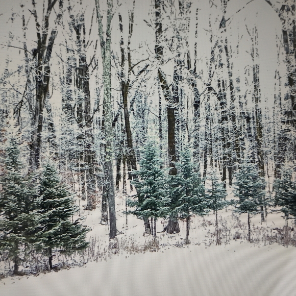 π¬ Universal Studios The MUMMY Monster Shredders Little Big Heads vintage - Picture 10 of 13